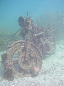 6f13bd29393db4e78e04dbbc2e629331