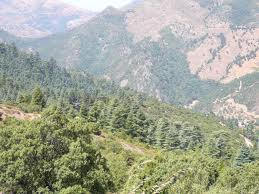 téléchargement (1)