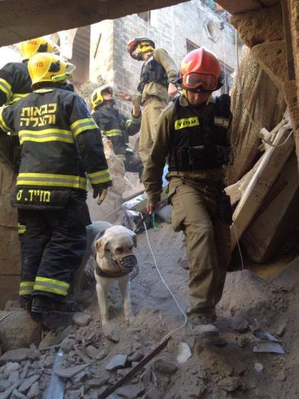 1800209_609547369124993_692006579_n