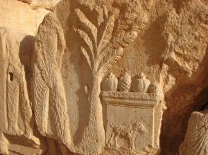 slide_427224_5517808_compressed