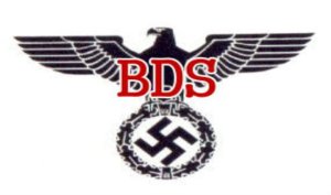 bdsnazi2