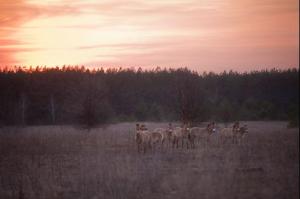 90ee0e44-6762-11e0-a858-1e191f1cfb20