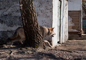 bf6e6c0e-6763-11e0-a858-1e191f1cfb20