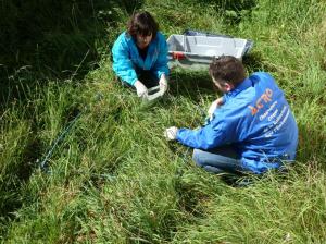 image_content_general_17814084_20141022224842